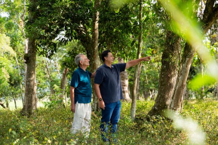 Empreendimento oferece oportunidades: moradia conectada com natureza e investimento imobiliário