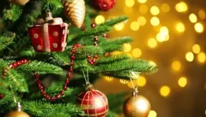 Natal Criativo soma rock’n roll e solidariedade durante evento em Belo Horizonte