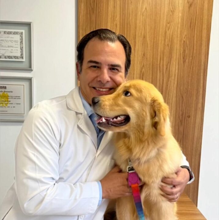 O seu pet também podem desenvolver câncer, saiba a importância dos tratamentos e as formas de prevenção