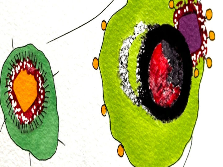 Exposição Individual de Zaq Guimarães inaugura Galeria Casarão Brasil