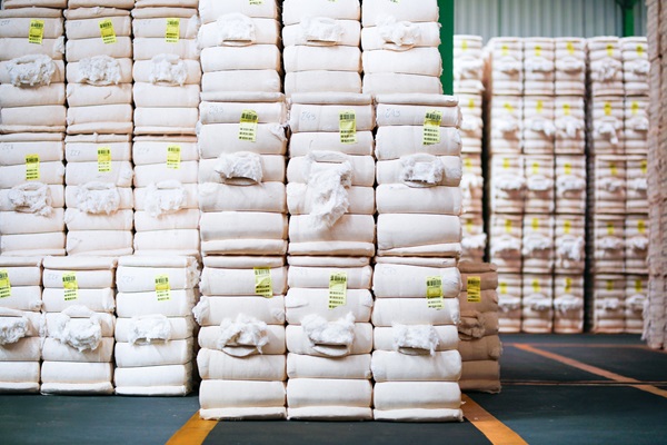 Amipa conclui auditorias para certificação de algodoeiras mineiras