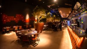 Monka Cervejaria celebra o St. Patrick’s Day com Música Ao Vivo, Cervejas Artesanais e Diversão Garantida!