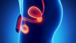 Casos de câncer de testículo aumentam entre a população mais jovem